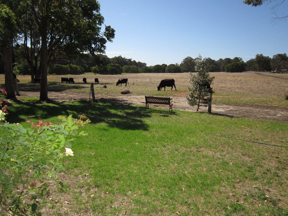 Marri Lodge Margaret River Bagian luar foto
